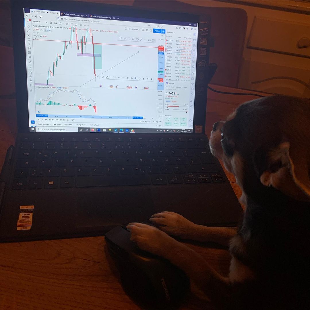賣空(Short Selling)是什麼?專業解析這項看跌市場的交易策略